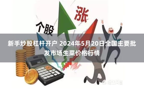 新手炒股杠杆开户 2024年5月20日全国主要批发市场生菜价格行情