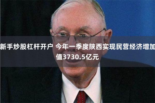 新手炒股杠杆开户 今年一季度陕西实现民营经济增加值3730.5亿元