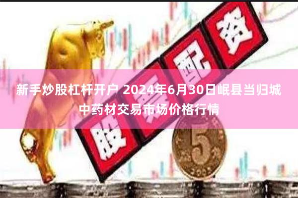 新手炒股杠杆开户 2024年6月30日岷县当归城中药材交