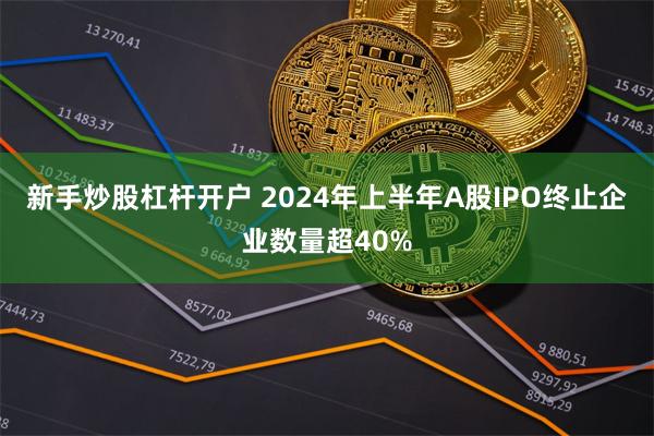 新手炒股杠杆开户 2024年上半年A股IPO终止企业数量